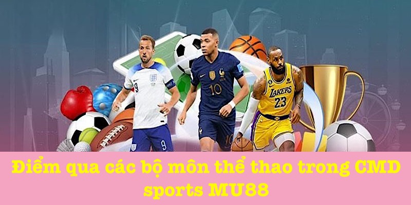 Các bộ môn thể thao trong sports CMD